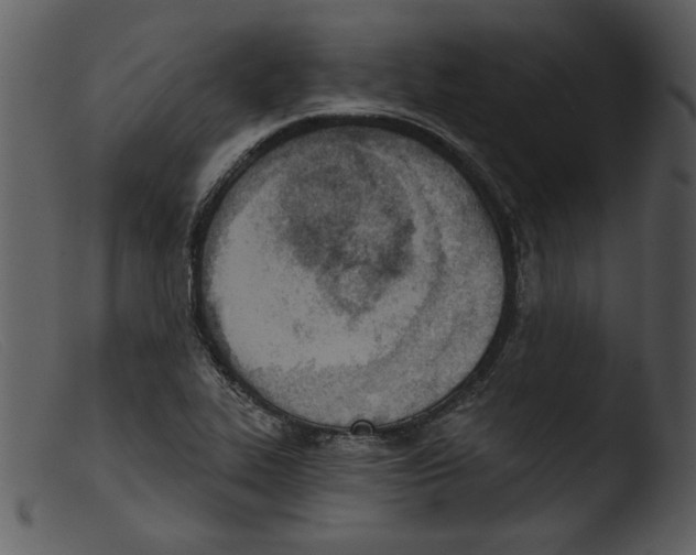 X0000103261319200809261129