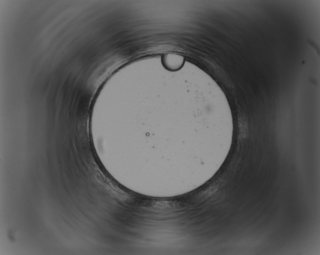 X0000103261322200809261129