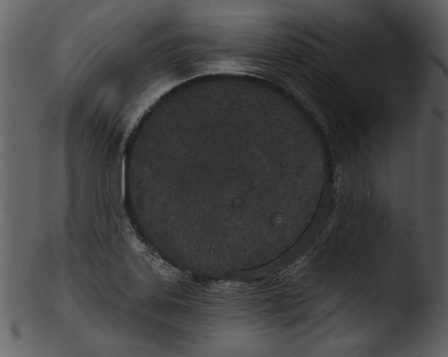 X0000103261323200809261129