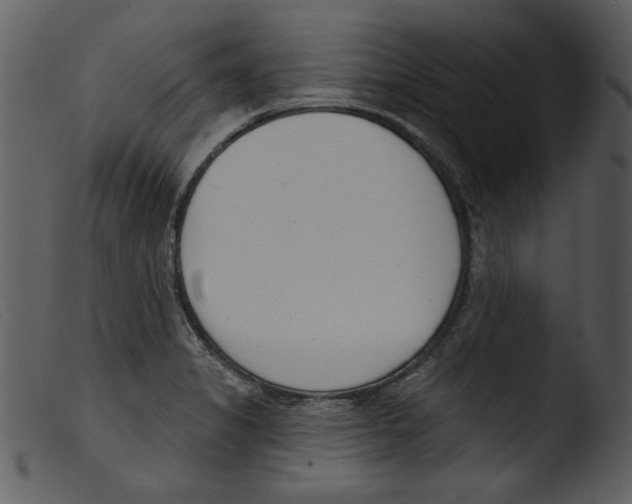 X0000103261325200809261129