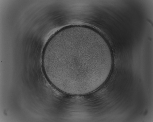 X0000103261327200809261129