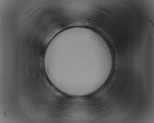 X0000103261329200809261129