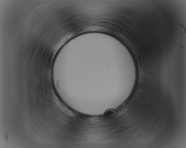 X0000103261330200809261129