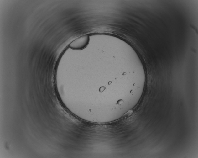 X0000103261331200809261129