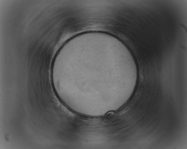 X0000103261334200809261129