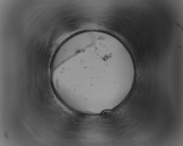 X0000103261335200809261129