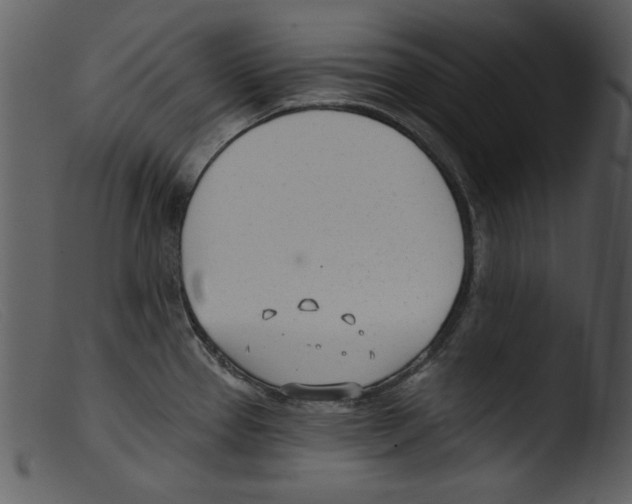 X0000103261337200809261129