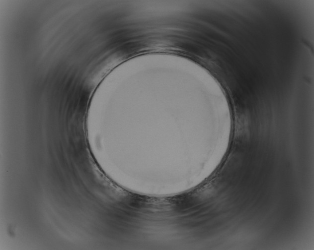 X0000103261338200809261129