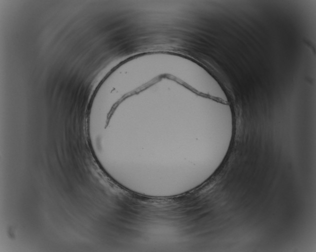 X0000103261340200809261129