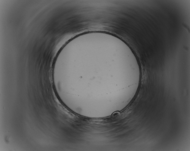 X0000103261342200809261129