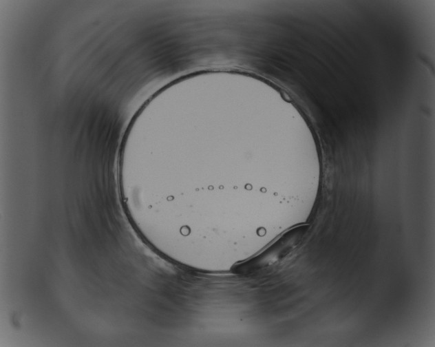 X0000103261343200809261129