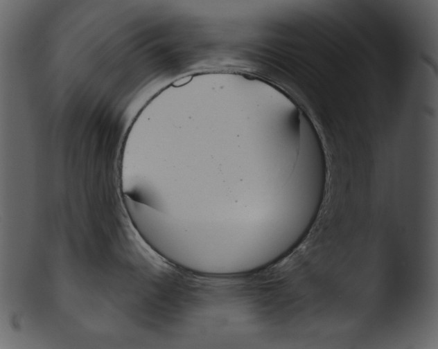 X0000103261344200809261130