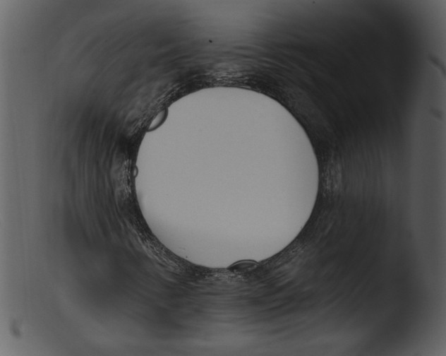 X0000103261346200809261129