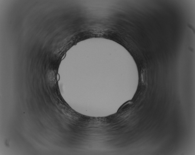 X0000103261347200809261129