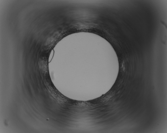 X0000103261348200809261129