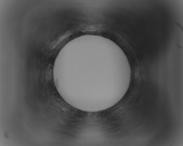 X0000103261350200809261129