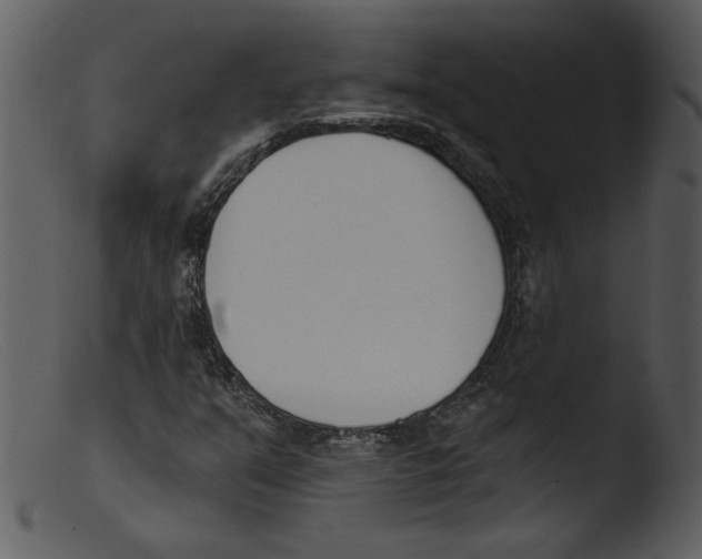 X0000103261351200809261129