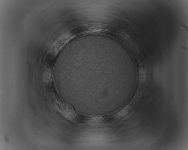 X0000103261353200809261129