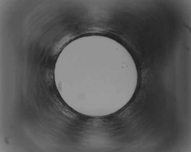 X0000103261355200809261129