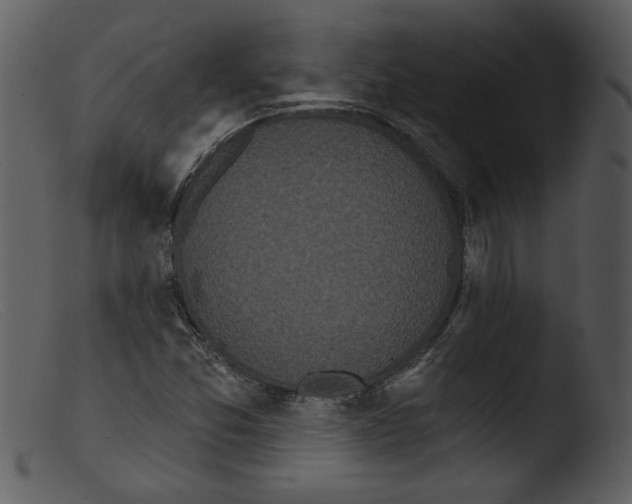 X0000103261357200809261129