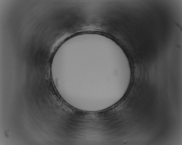 X0000103261358200809261129