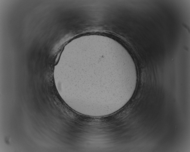 X0000103261359200809261129