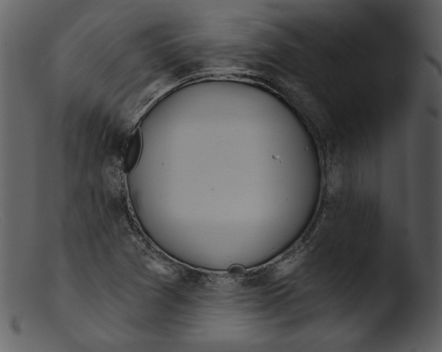 X0000103261361200809261129