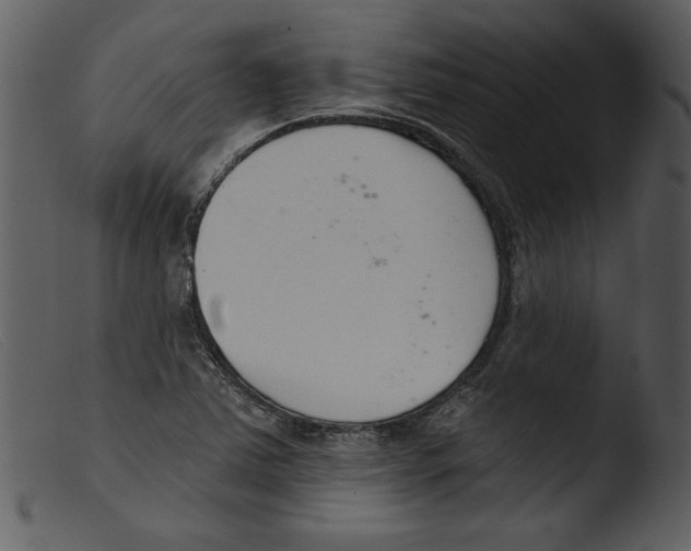 X0000103261363200809261129