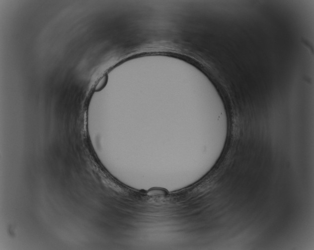 X0000103261366200809261129