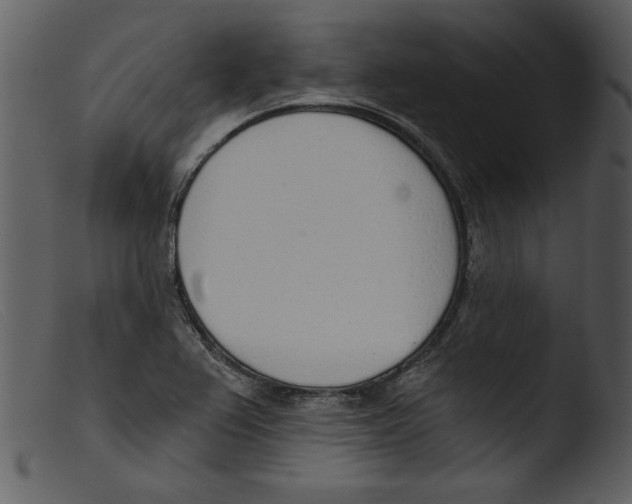 X0000103261367200809261129