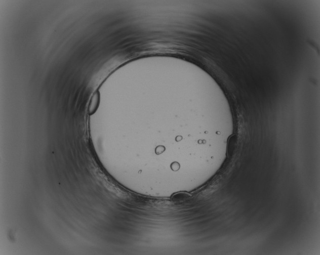 X0000103261370200809261129