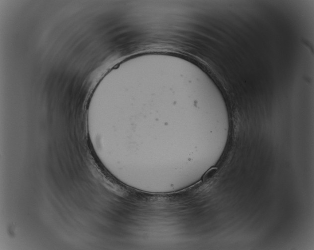 X0000103261371200809261128