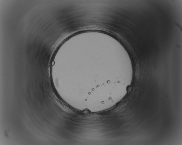 X0000103261372200809261128