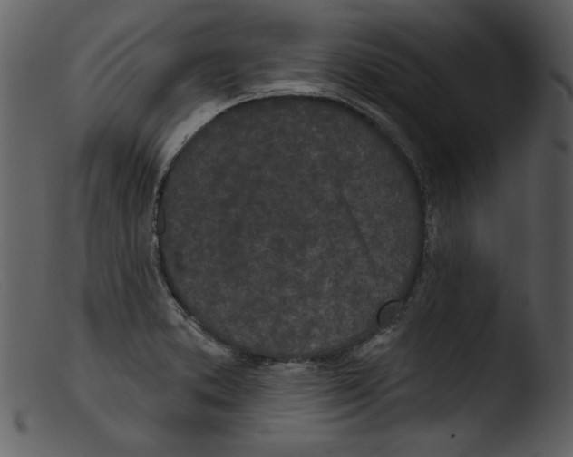 X0000103261373200809261128