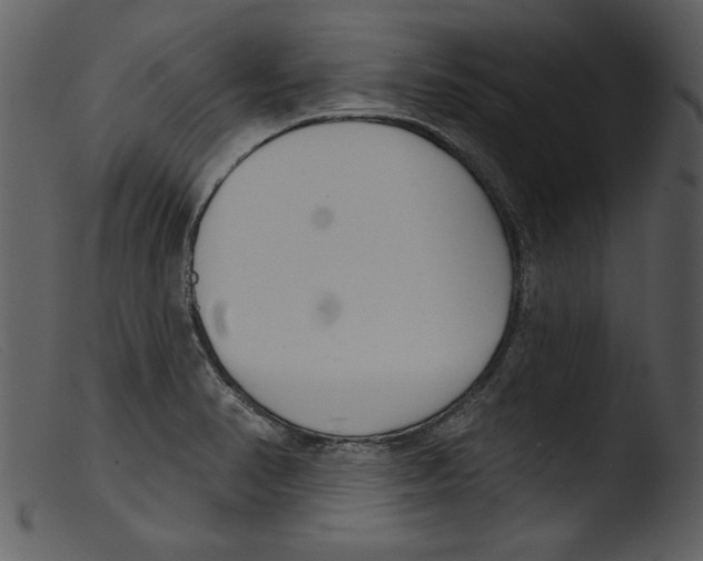 X0000103261374200809261128