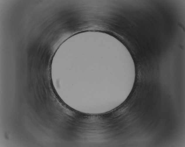 X0000103261375200809261128