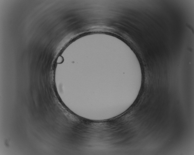 X0000103261376200809261128