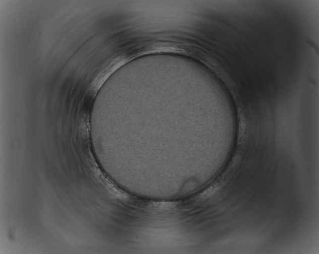 X0000103261377200809261128