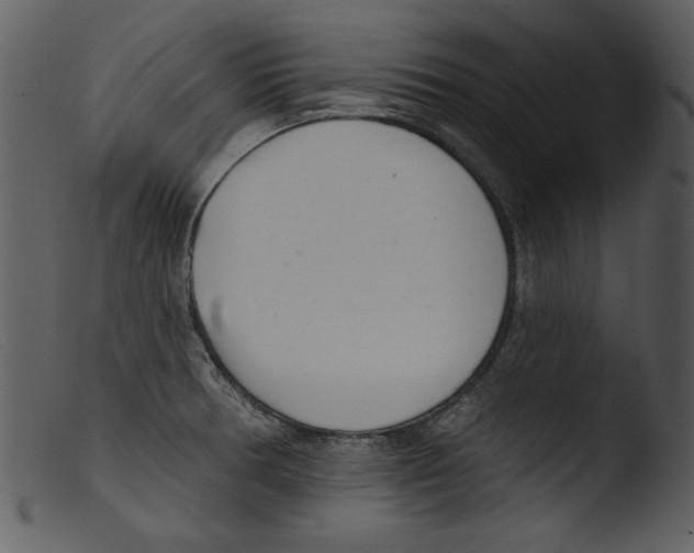 X0000103261378200809261128