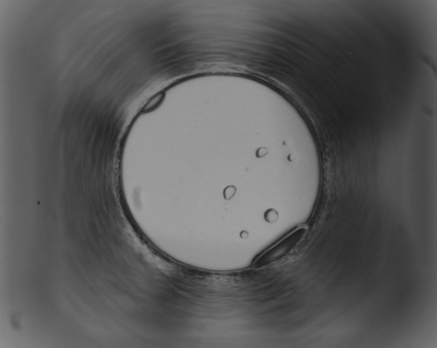 X0000103261379200809261128