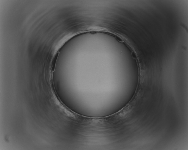 X0000103261381200809261128