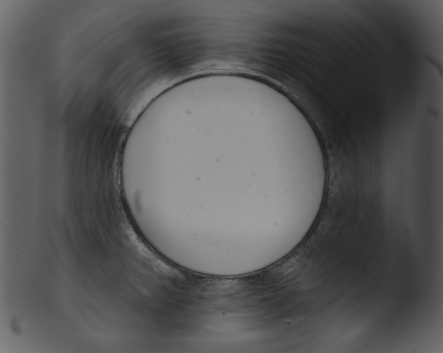 X0000103261382200809261128