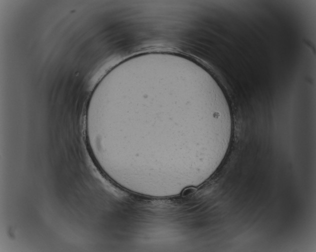 X0000103261383200809261128