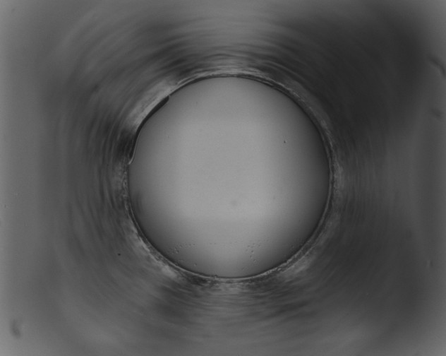 X0000103261385200809261128