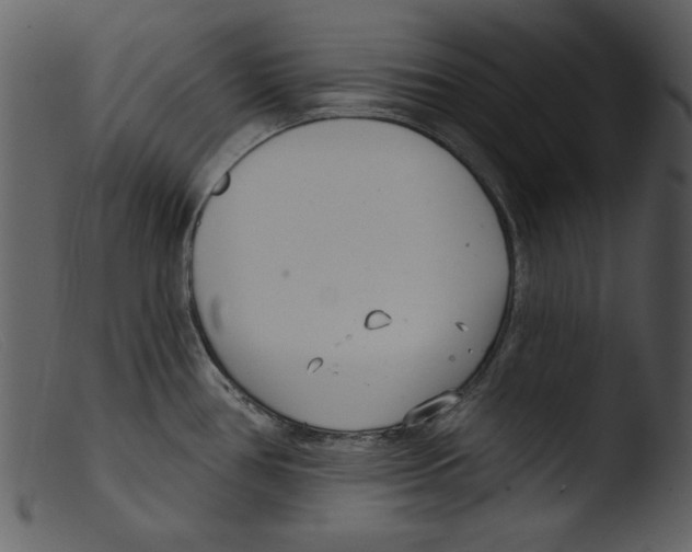 X0000103261386200809261128