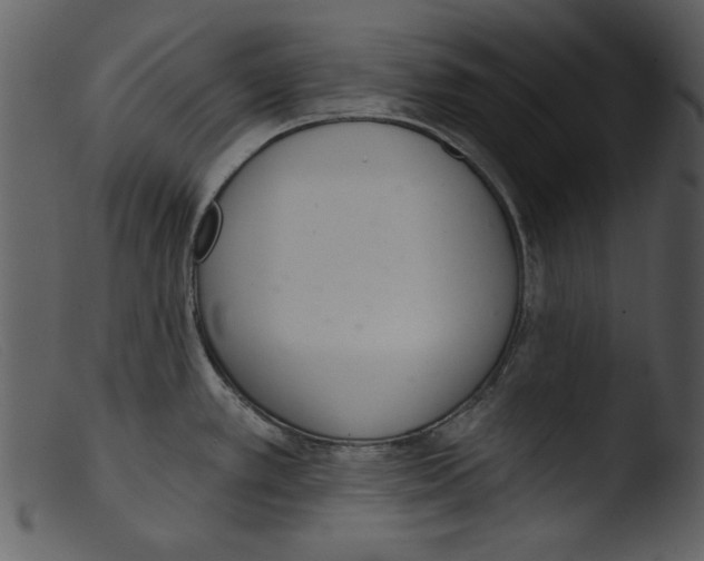 X0000103261389200809261128