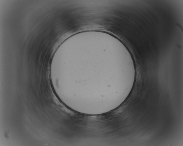 X0000103261390200809261128