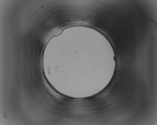 X0000103261391200809261128