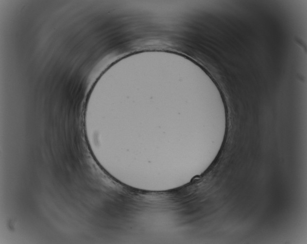 X0000103261392200809261128