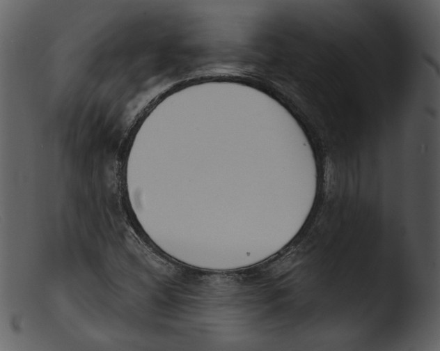 X0000103261404200809261128